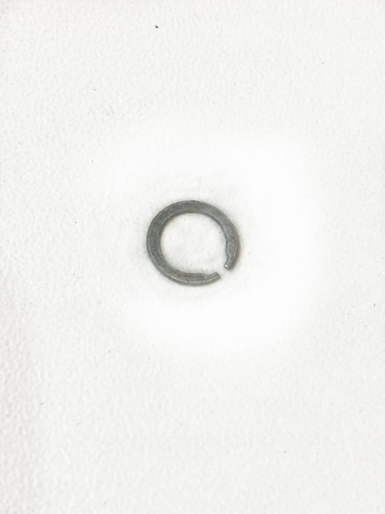 IMG_3136.PNG