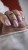 dusky-1.JPG.webp